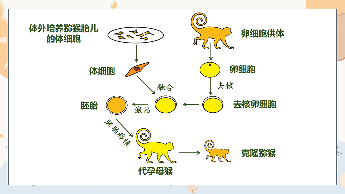 18095541第7页