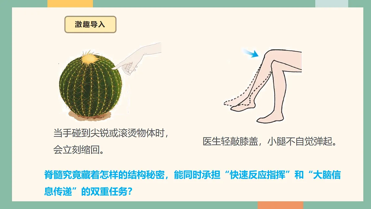 18095868第3页