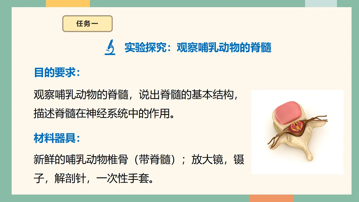 18095868第5页
