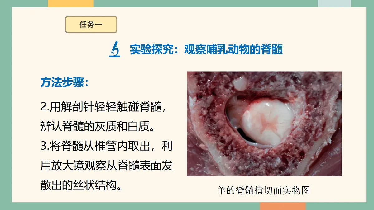 18095868第7页