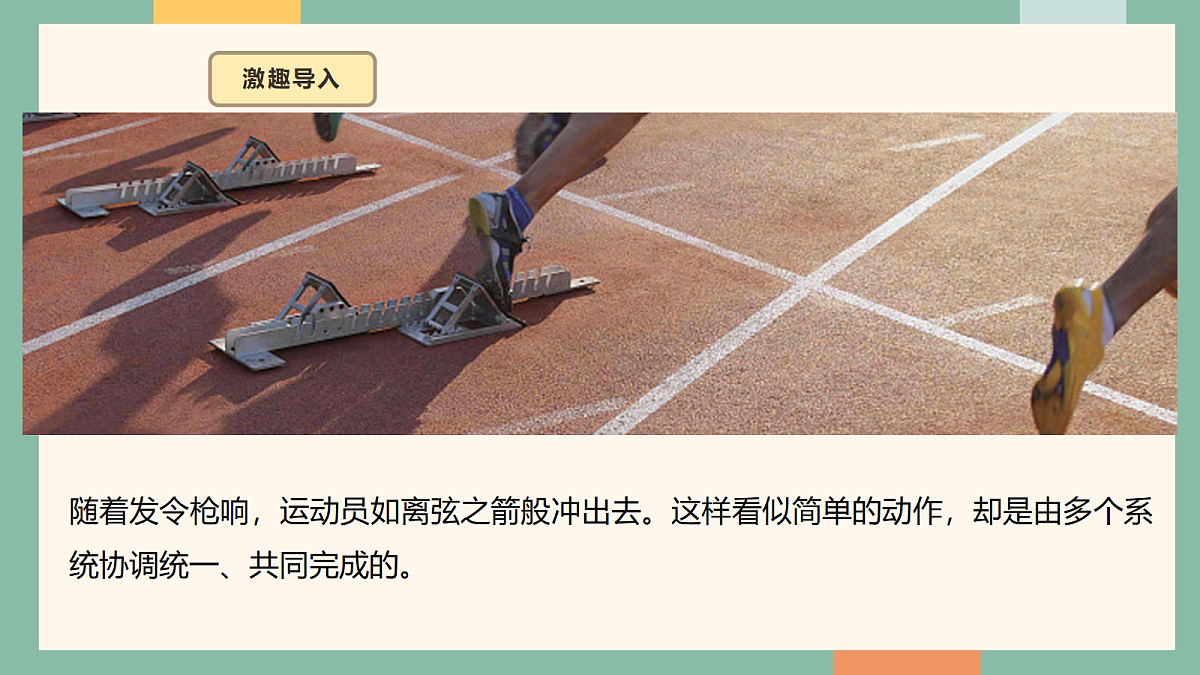 18095870第3页