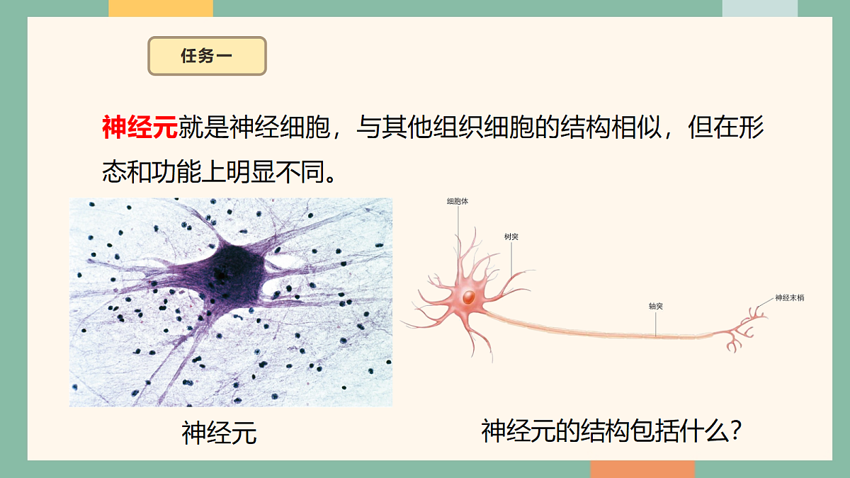 18095870第5页