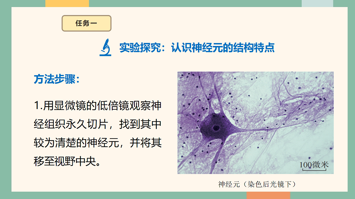18095870第7页
