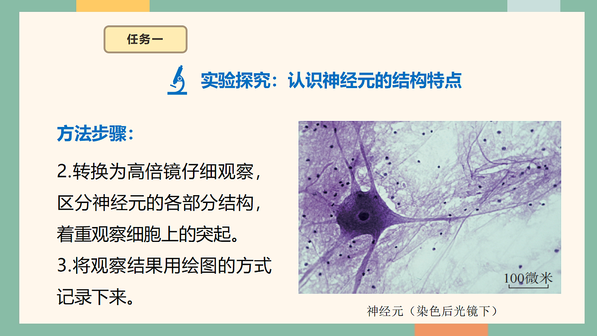 18095870第8页
