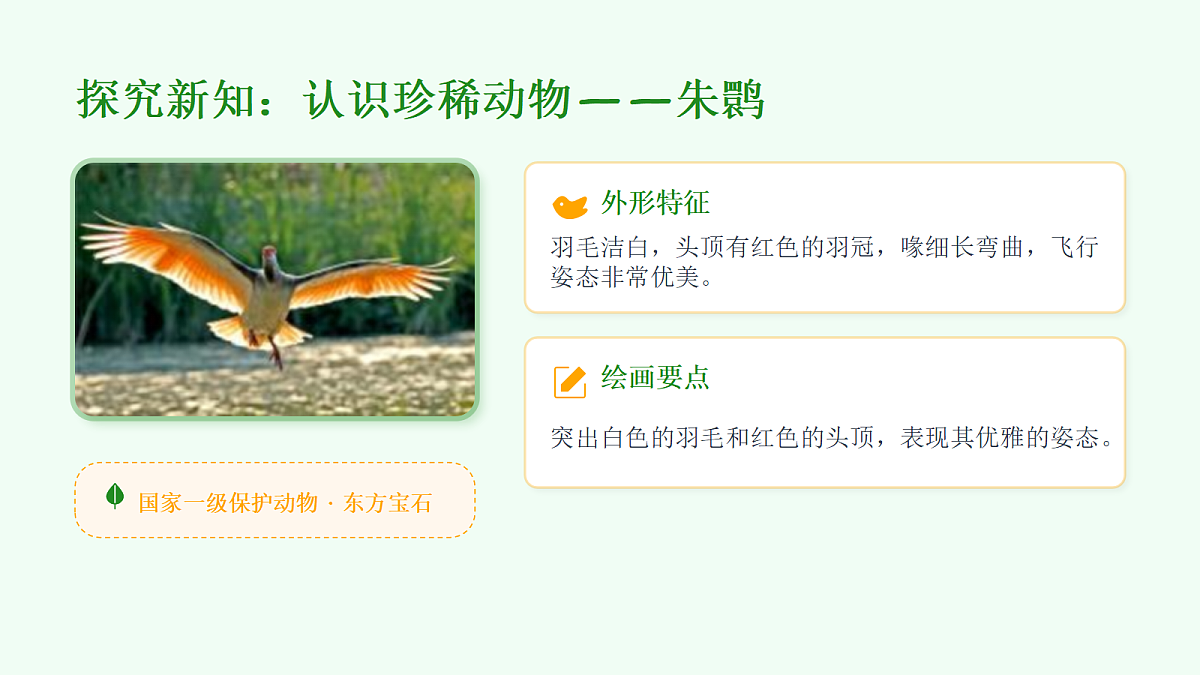 18095892第6页