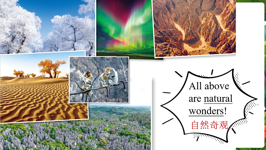 第1课时 Starting out & Understanding ideas（阅读）第7页