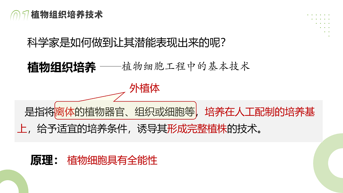 18096830第7页