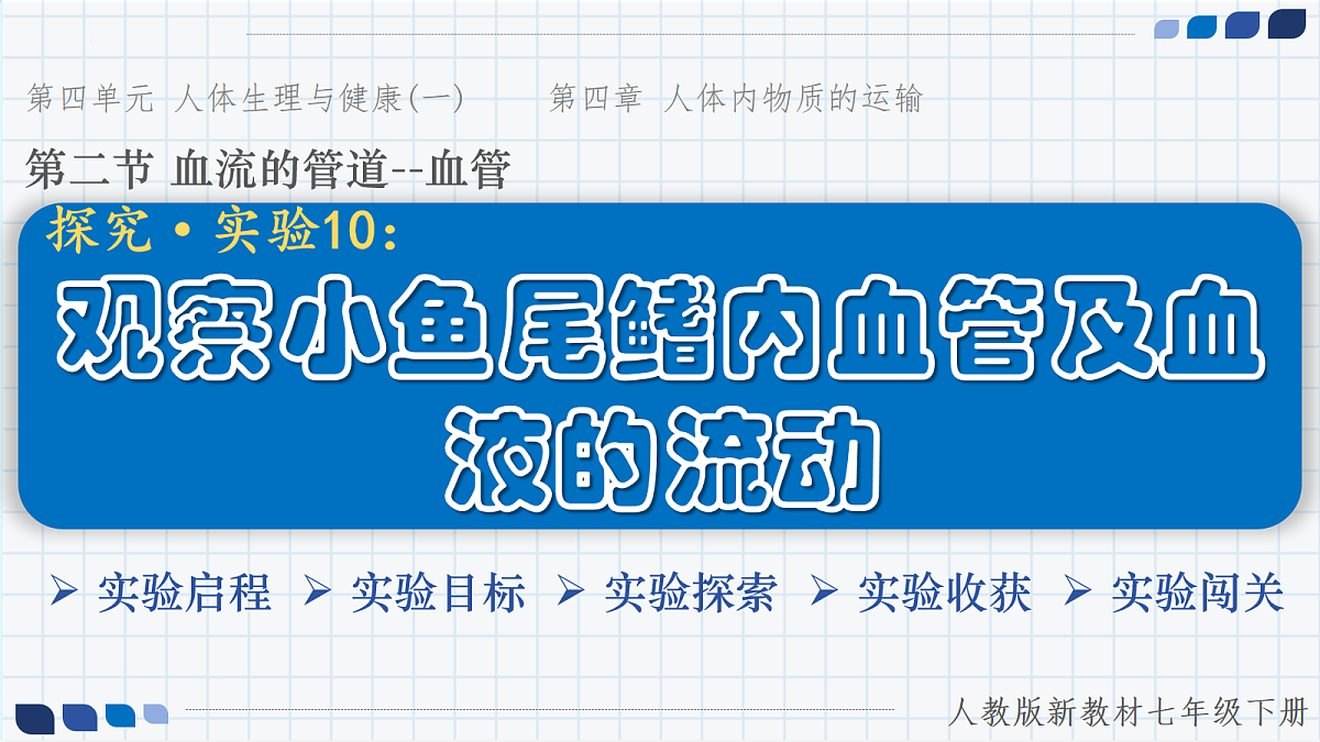 18097271第1页