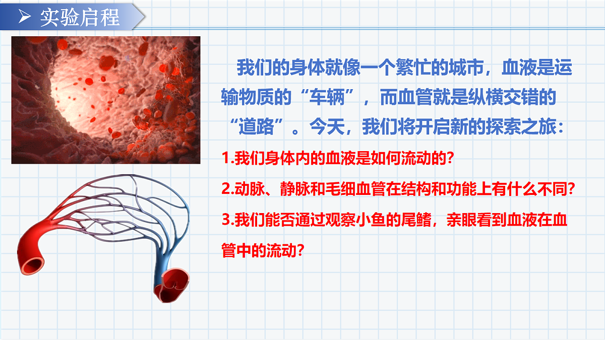 18097271第2页