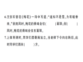 小学数学新西师版二年级下册我的学校综合训练作业课件（放映显示答案）（2026春）