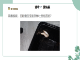 教科版（2024）科学三年级下册2.5《蚕变了新模样》（课件+素材）