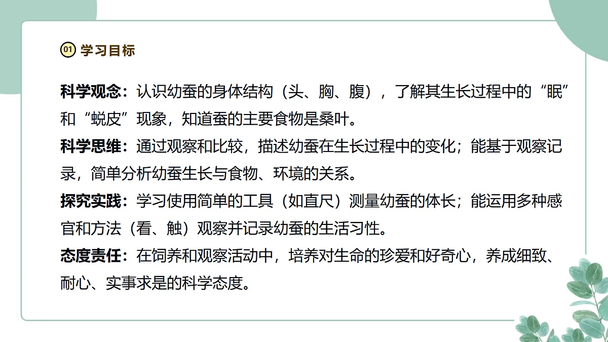 教科版（2024）科学三年级下册2.4《幼蚕在生长》课件第2页