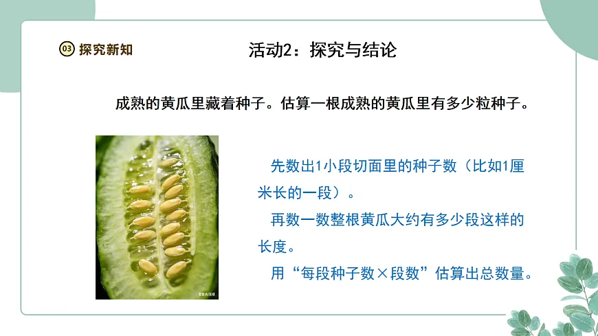 大象版（2024）科学三年级下册2.5《果实与种子》课件第8页