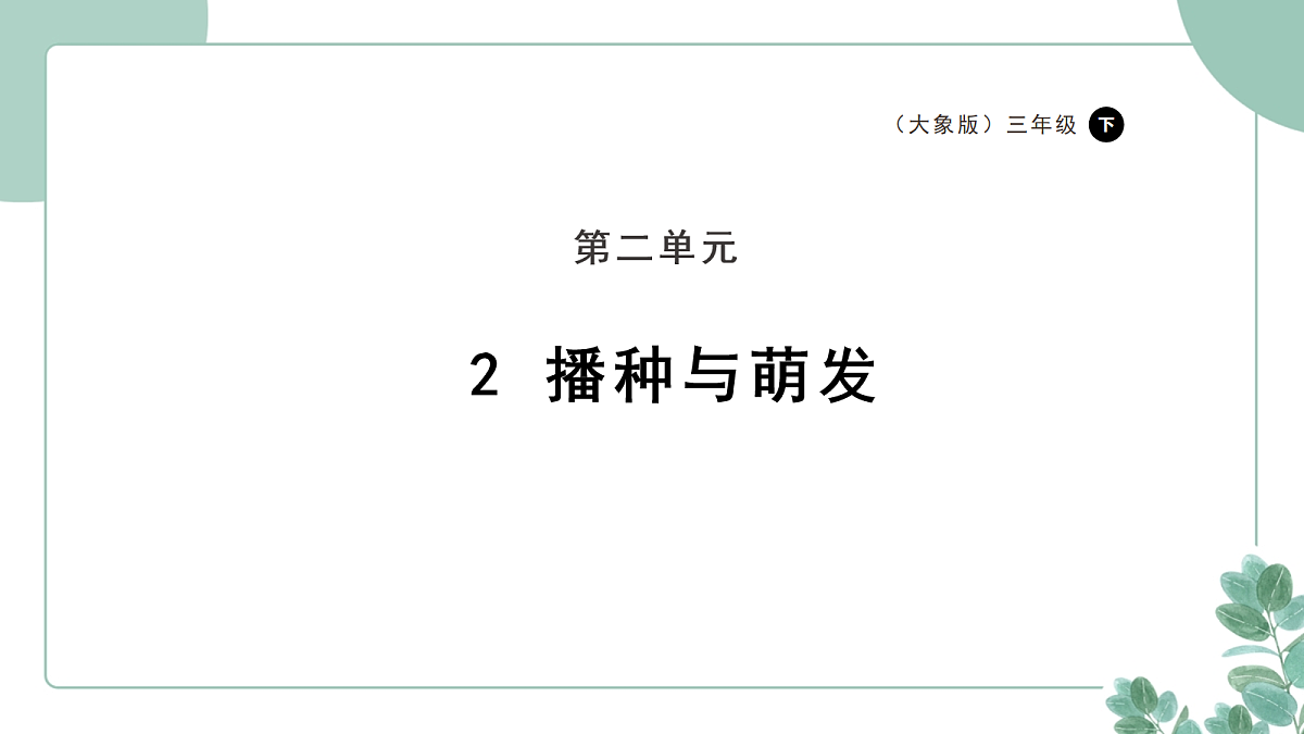 大象版（2024）科学三年级下册2.2《播种与萌发》课件第1页