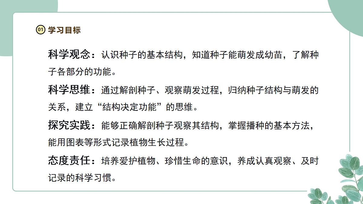 大象版（2024）科学三年级下册2.2《播种与萌发》课件第3页