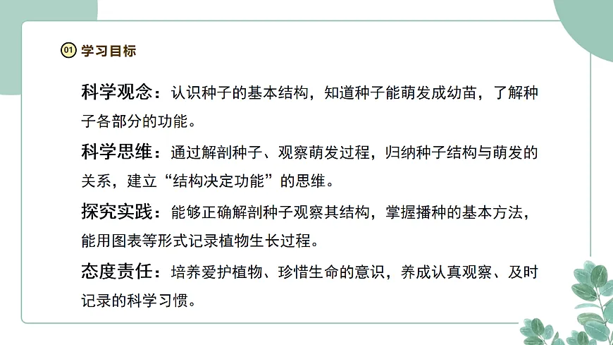 大象版（2024）科学三年级下册2.2《播种与萌发》课件第3页