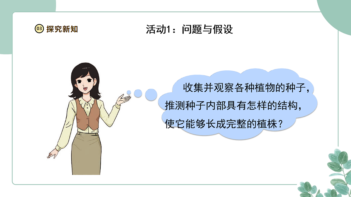 大象版（2024）科学三年级下册2.2《播种与萌发》课件第6页