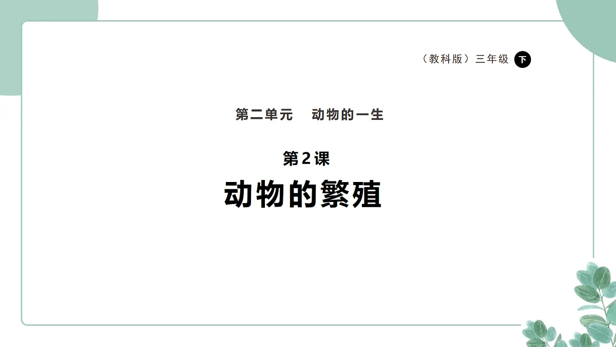 教科版（2024）科学三年级下册《动物的繁殖》课件第1页