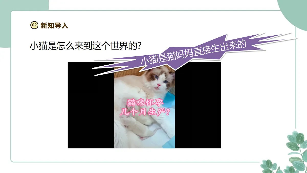 教科版（2024）科学三年级下册《动物的繁殖》课件第5页