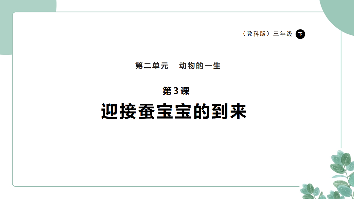 18097656第1页