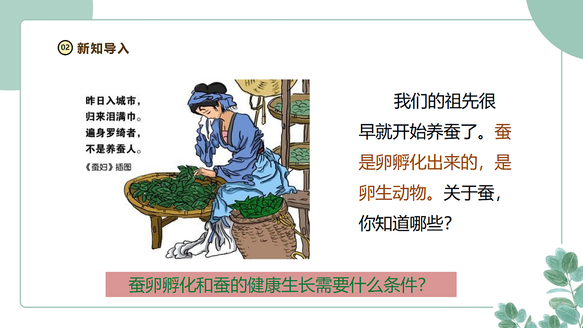 18097656第4页