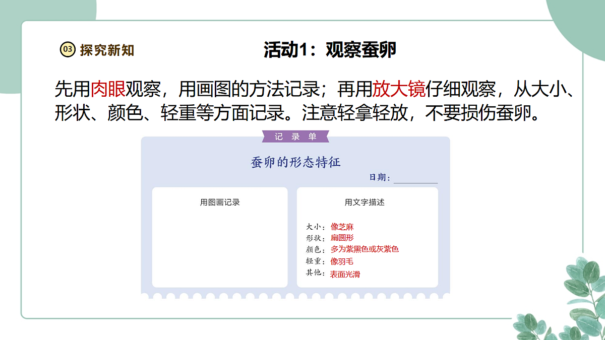 18097656第6页