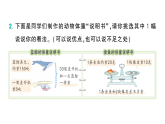 小学数学新北师大版三年级下册综合实践 制作动物体重“说明书”第5课时 动物体重介绍会作业课件（放映显示答案）（2026春）