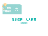 小学数学新北师大版三年级下册第四单元阶段主题活动六 湿地保护 人人有责作业课件（放映显示答案）（2026春）