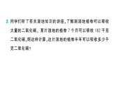 小学数学新北师大版三年级下册第四单元阶段主题活动六 湿地保护 人人有责作业课件（放映显示答案）（2026春）
