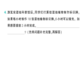 小学数学新北师大版三年级下册第四单元阶段主题活动六 湿地保护 人人有责作业课件（放映显示答案）（2026春）