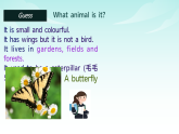 外研版2024英语七年级下册 Unit 5 Developing ideas (2)课件