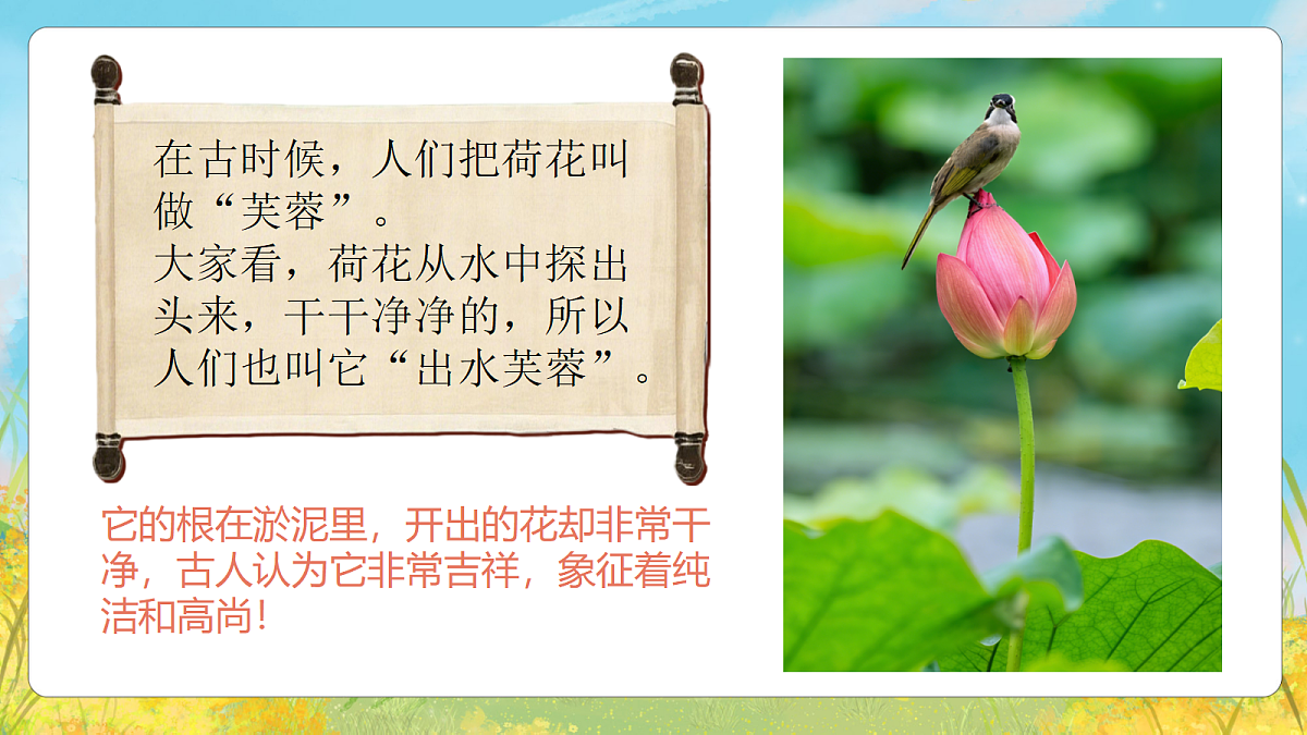 2.2 出水芙蓉 课件第4页
