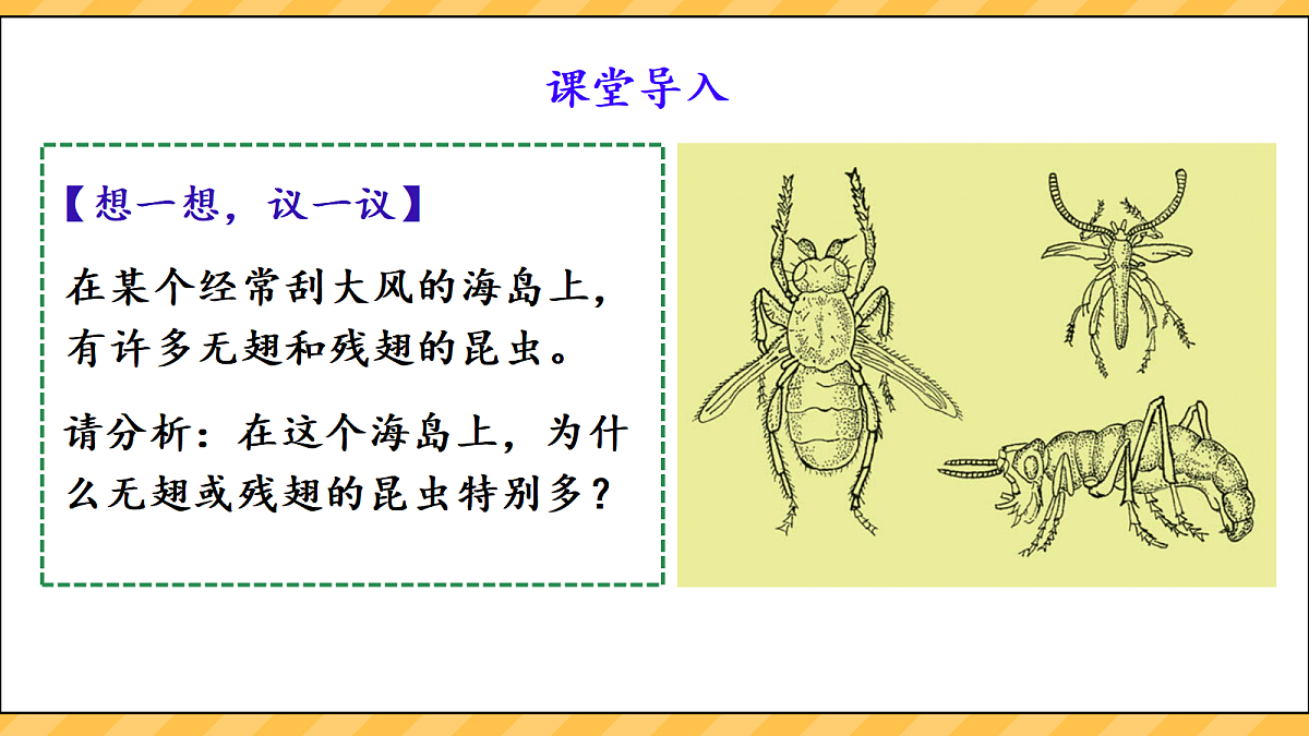 18099696第2页
