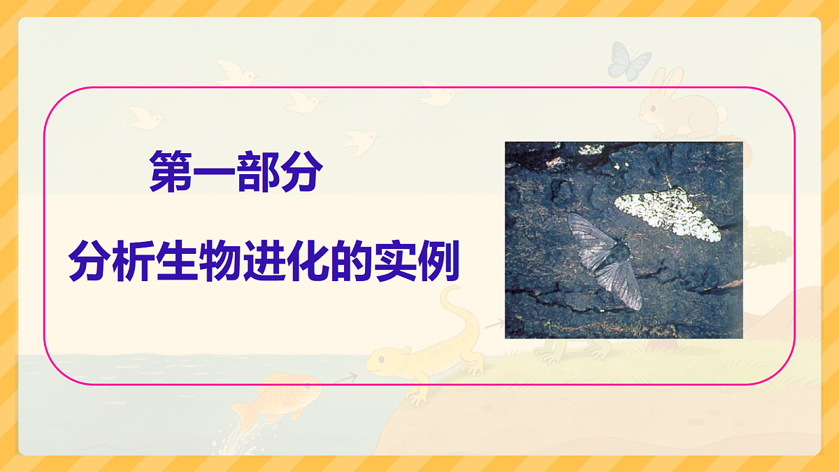 18099696第4页