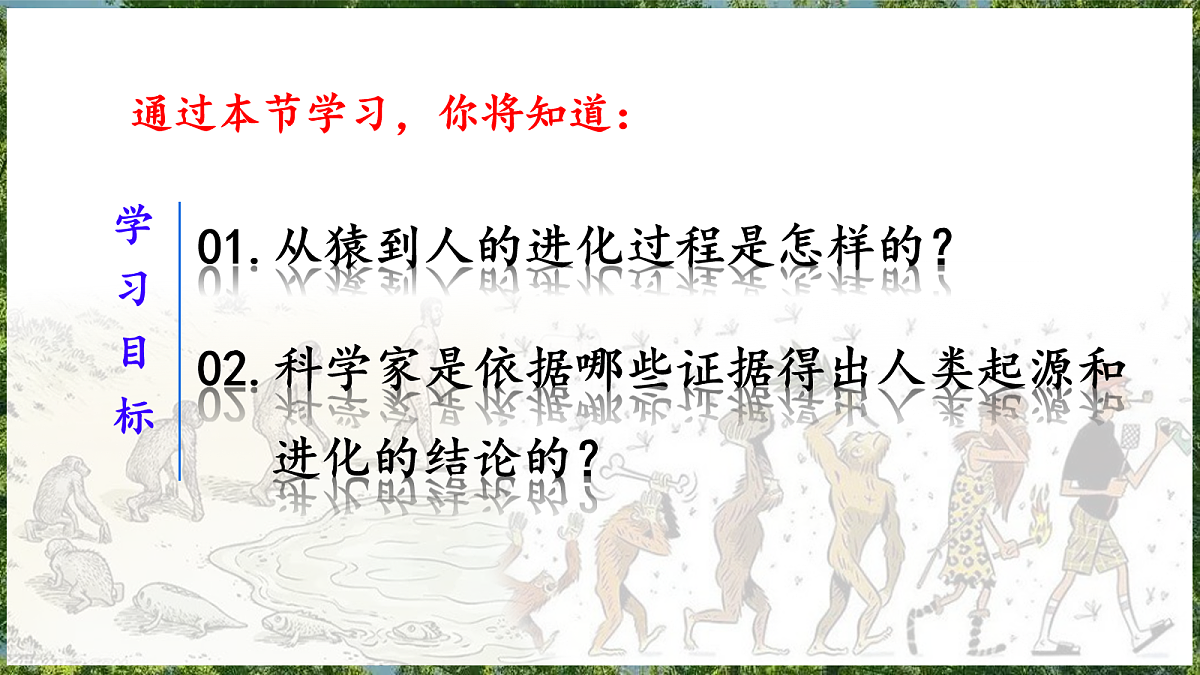 18099697第3页