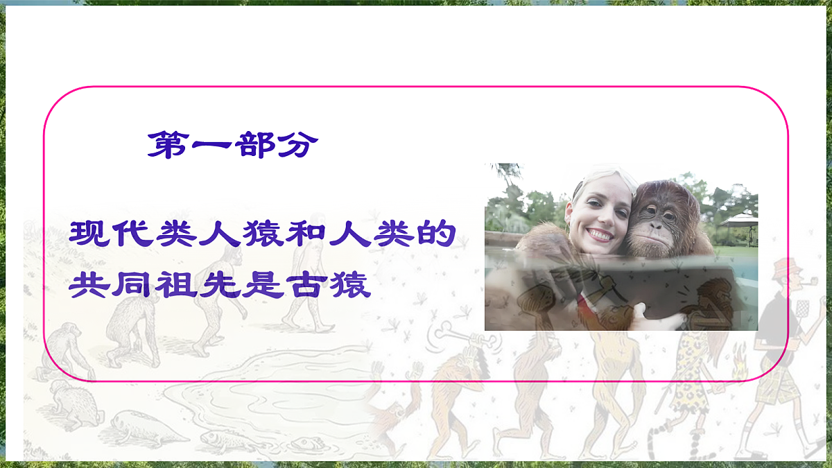 18099697第4页