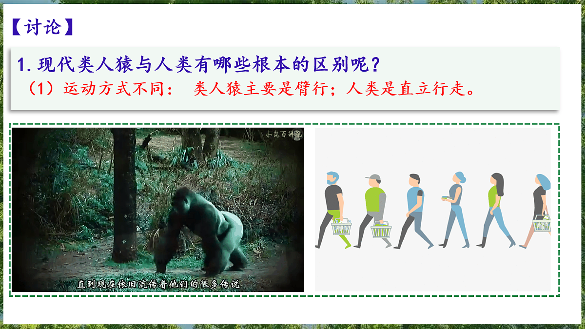 18099697第6页