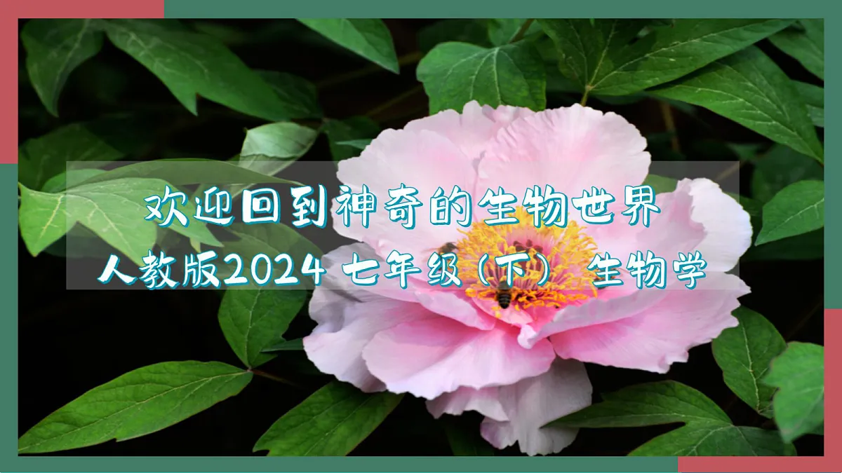 18099703第1页