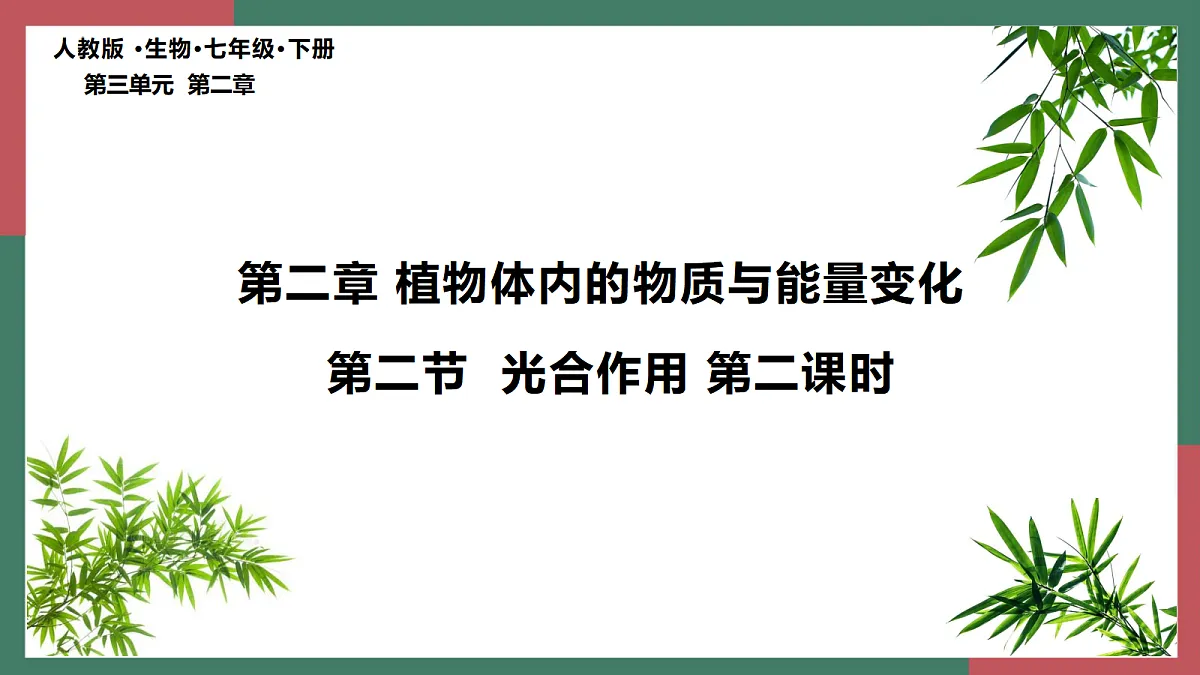 18099703第5页