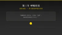 人教版（2024）七年级下册（2024）呼吸作用授课ppt课件