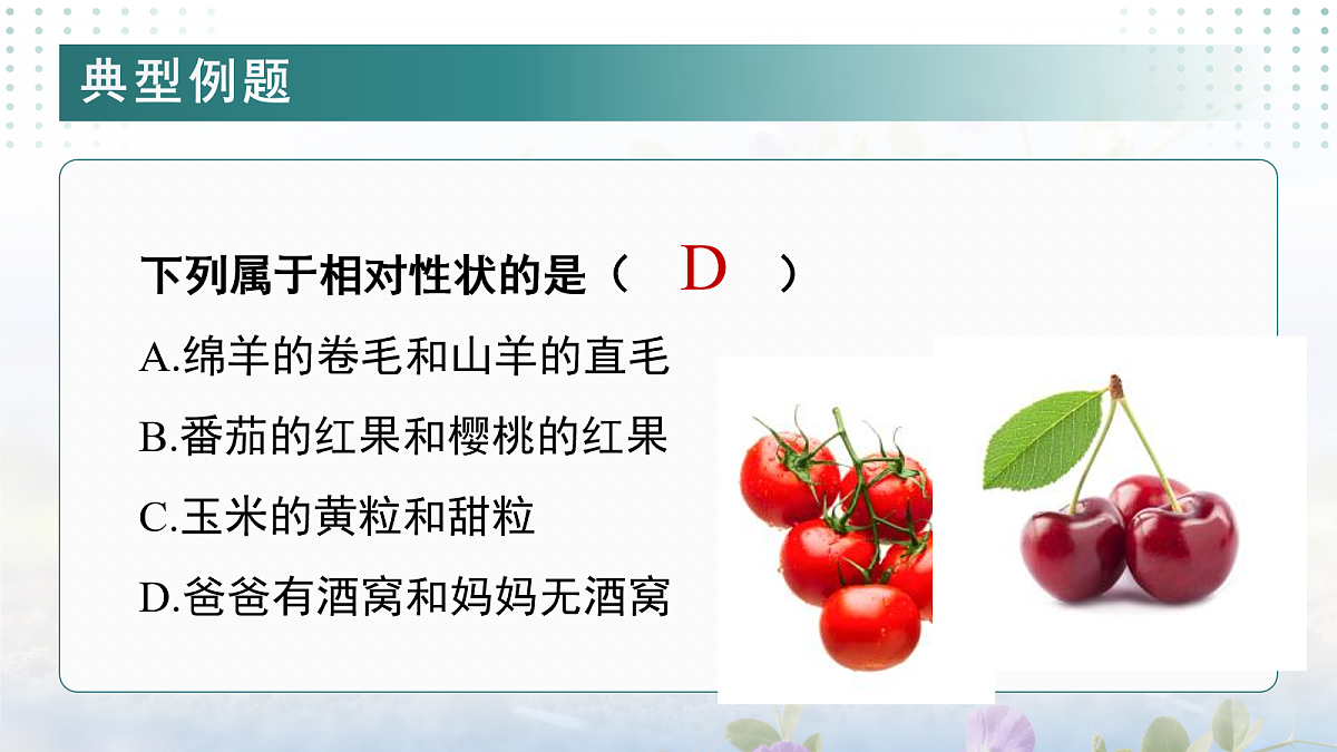 18100052第6页