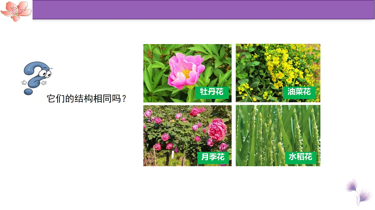 18100054第4页