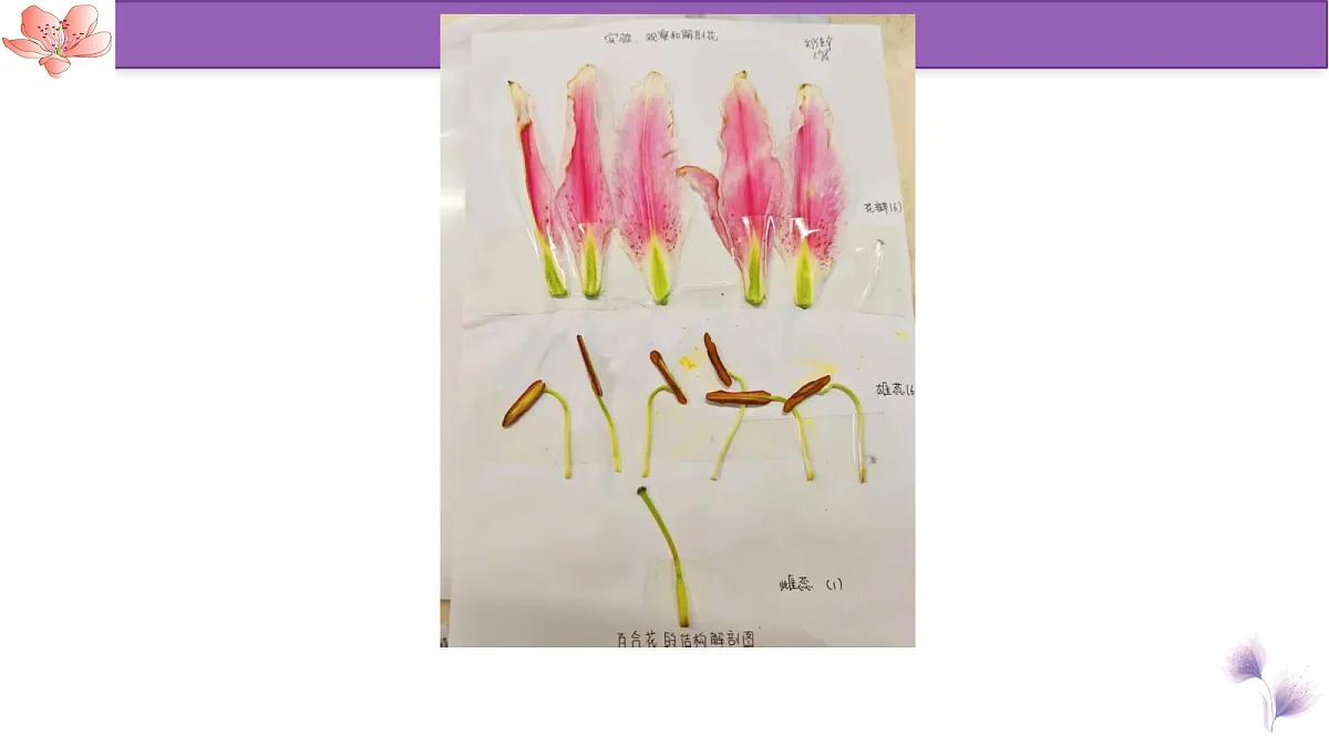 18100054第7页