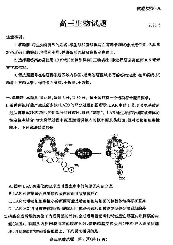 山东省滨州市2025届高三下学期第二次模拟考试生物第1页