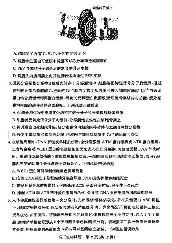 山东省滨州市2025届高三下学期第二次模拟考试生物第2页