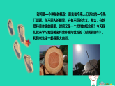 2026八年级语文下册第二单元8时间的脚印上课课件新人教版
