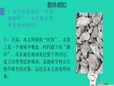 2026八年级语文下册第二单元8时间的脚印上课课件新人教版