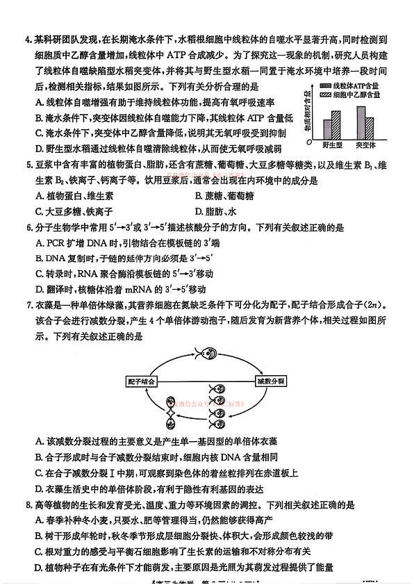 18102688第2页