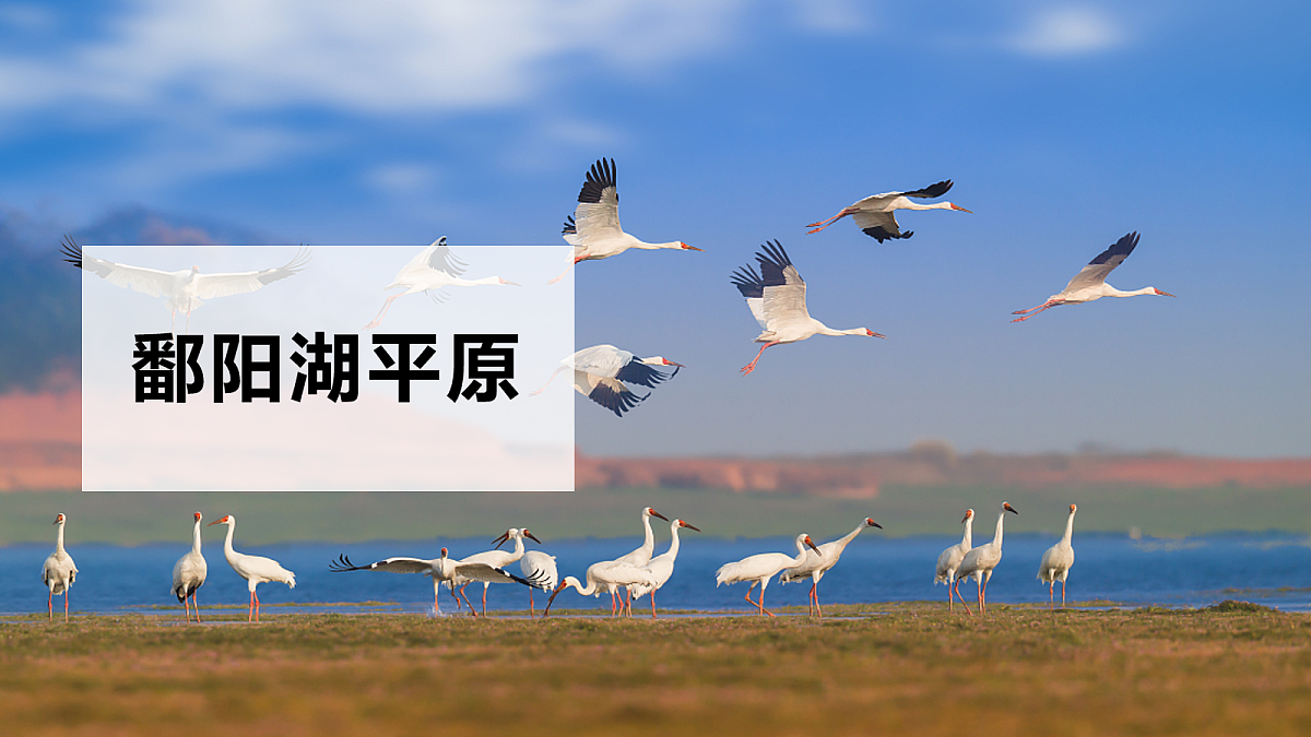 18102735第8页