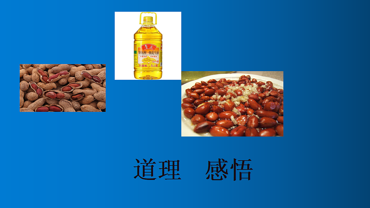 18102893第2页